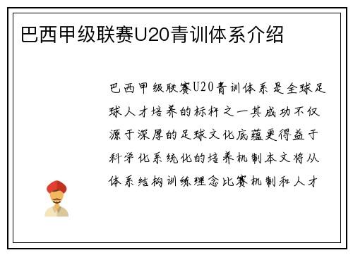 巴西甲级联赛U20青训体系介绍