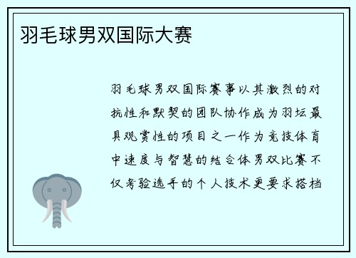 羽毛球男双国际大赛
