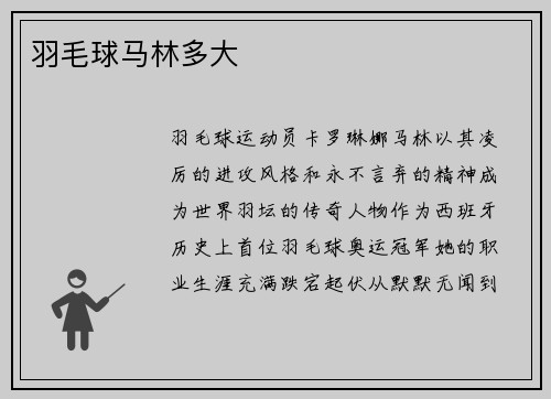 羽毛球马林多大